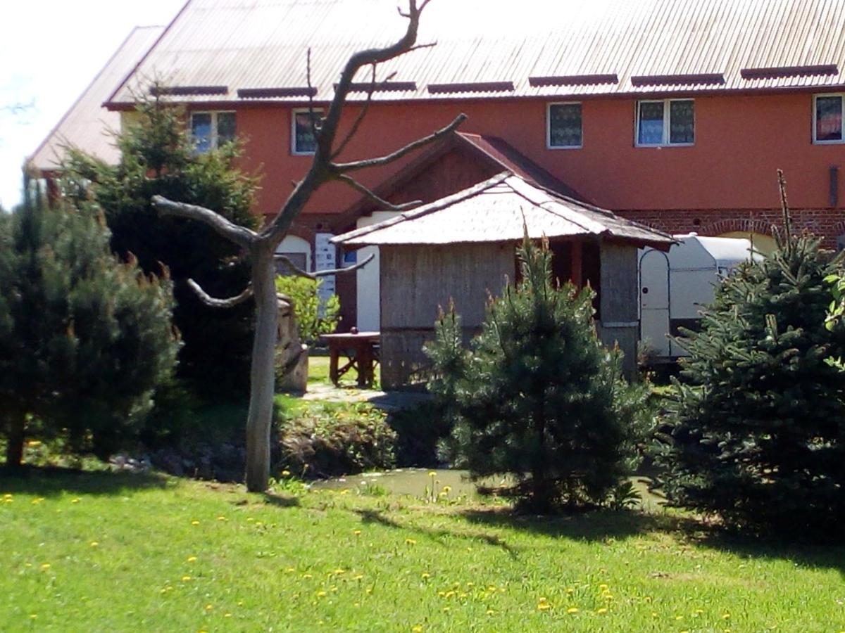 Agroturystyka Andrzejowka Czerniki 外观 照片