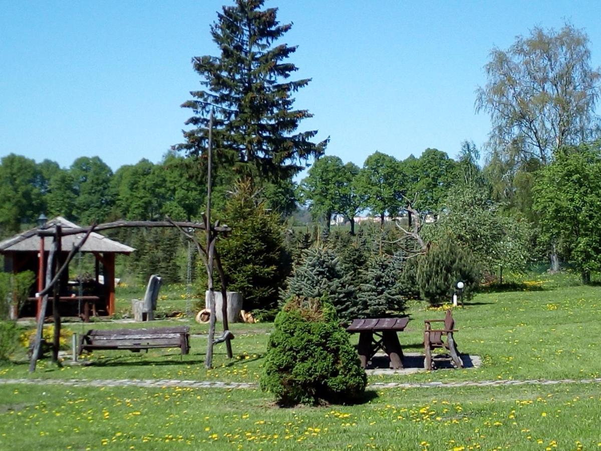 Agroturystyka Andrzejowka Czerniki 外观 照片