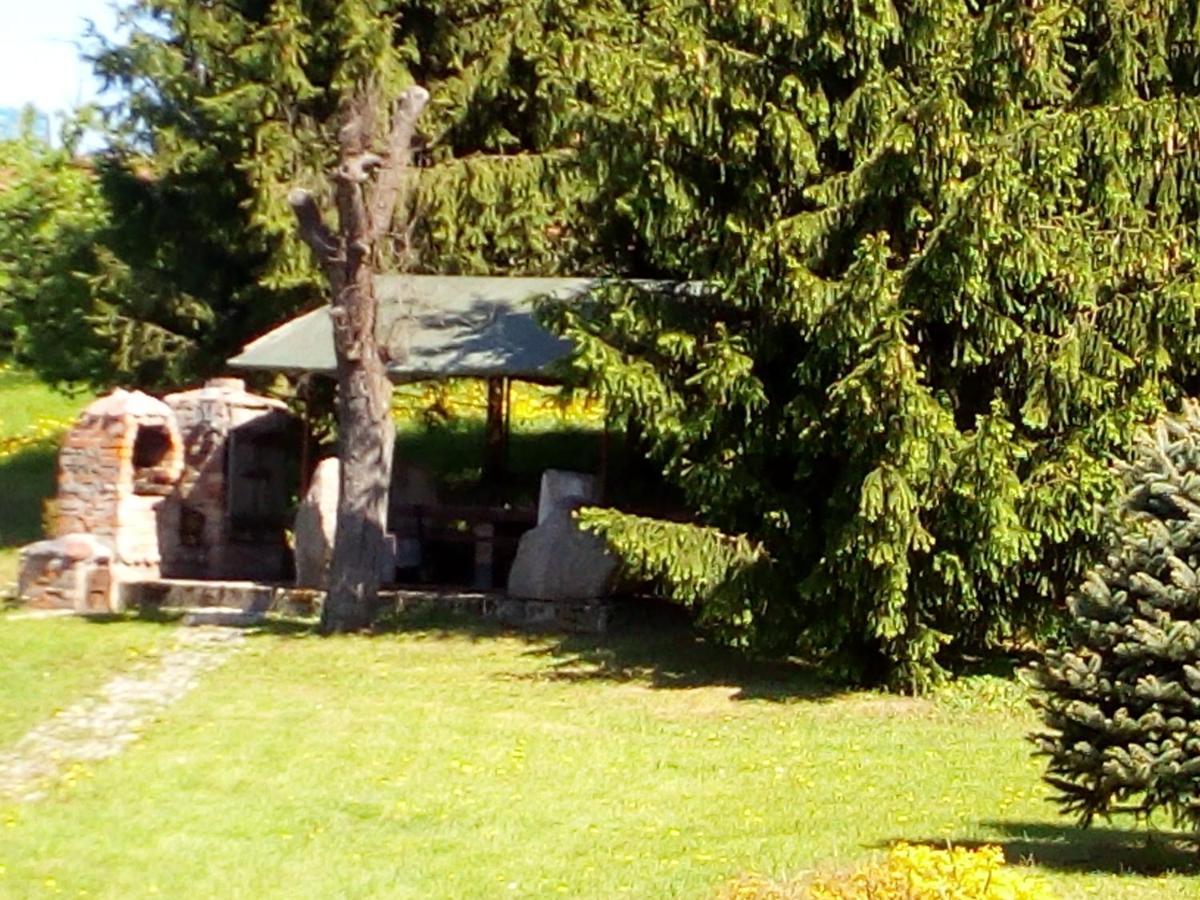 Agroturystyka Andrzejowka Czerniki 外观 照片